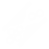 cholestrol